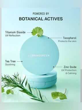 BRINGGREEN Tea Tree Cica Sun Cushion SPF 50 Broad Spectrum Korean sunscreen